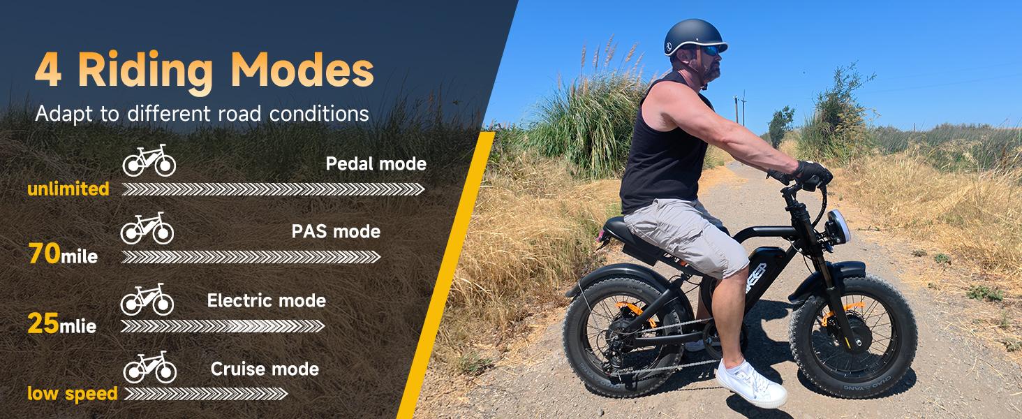 HiKeep K6-T Electric Bike for Adults - 16/20 Inch Fat Tire Ebike, 750W/Peak 1500W Motor Ebike, 48V15.6AH Detachable Battery, 4 Riding Modes Electric Dirt Bike