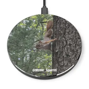 Meme Squirrel Brand Wireless Charger
