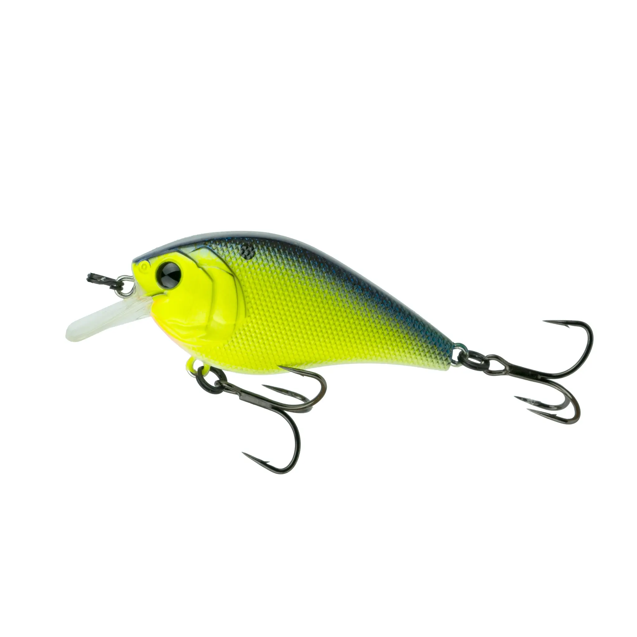 Chartreuse Pro Blue