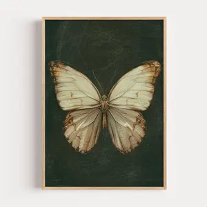 Vintage Butterfly Print: Antique Insect Illustration, Dark Academia Decor 4
