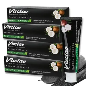 Vaclav Activated Charcoal Mint Flavor, Whitening Fluoride Free, Natural Toothpaste Alternative, Removes Plaque, No Artificial Colors, Tooth Stain Removal, Gift for Woman 100g/3.53 fl oz