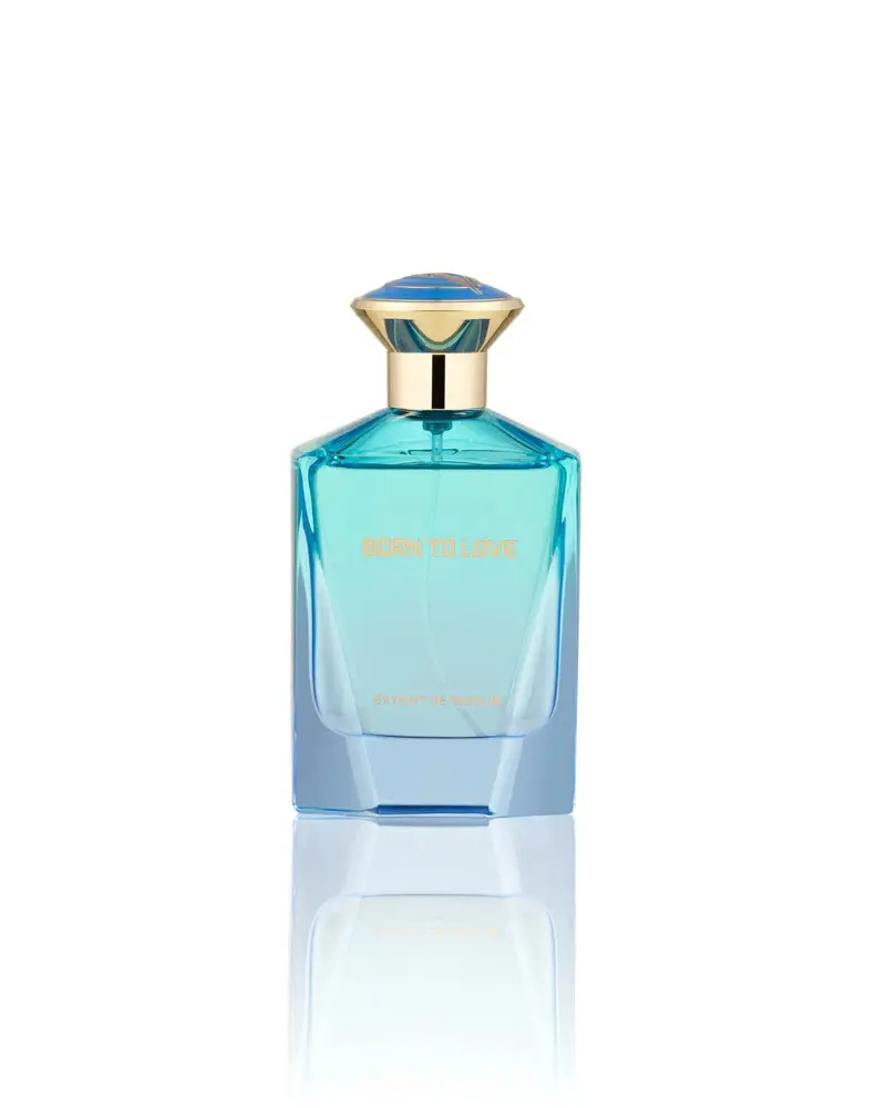 Born to Love 3.4Oz EDP for Men by Fragrance Story Rich Scent Citrus Woody Spicy