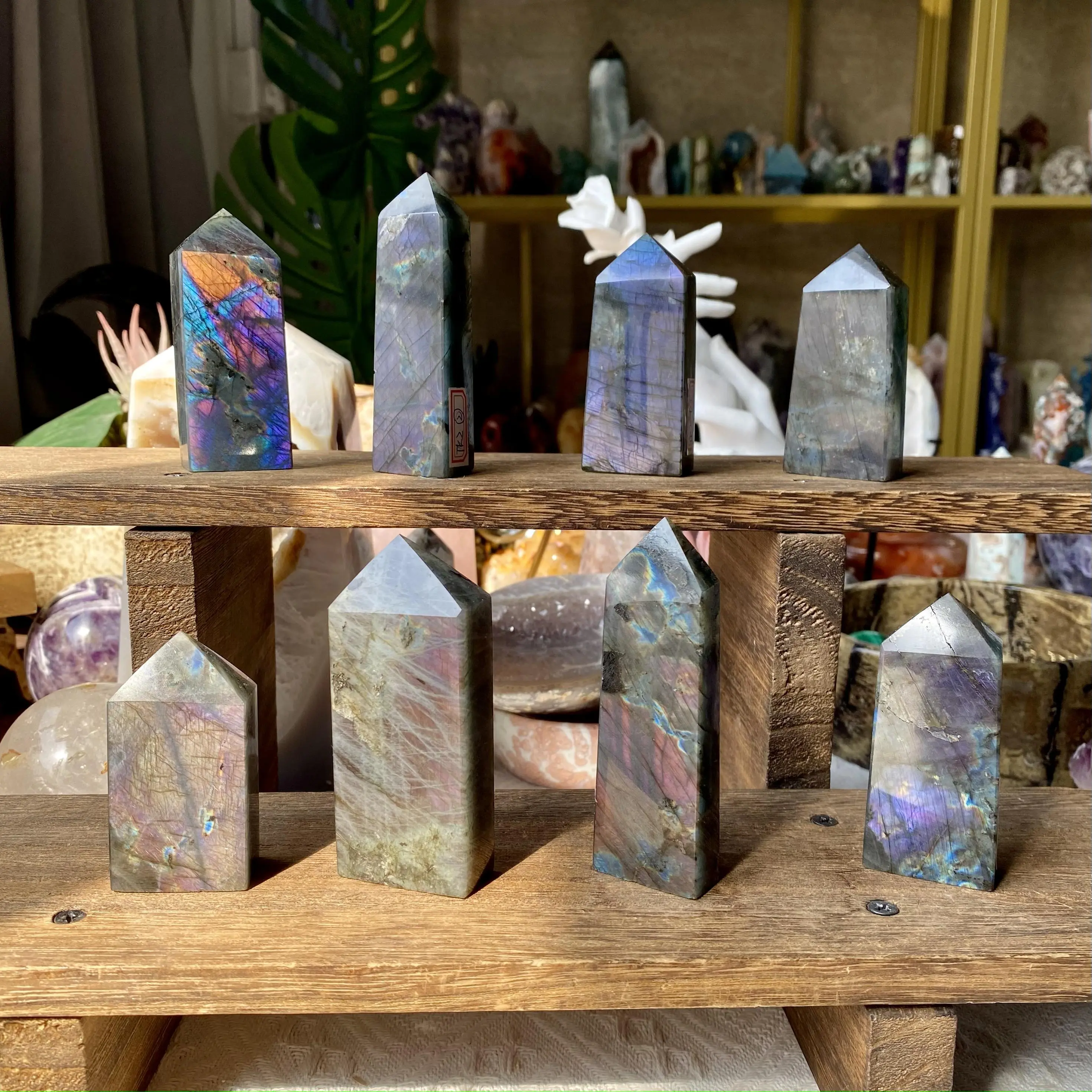 Natural Crystal Purple Flash Labradorite Points Collection Natural Crystal Purple Flash Labradorite Points Collection