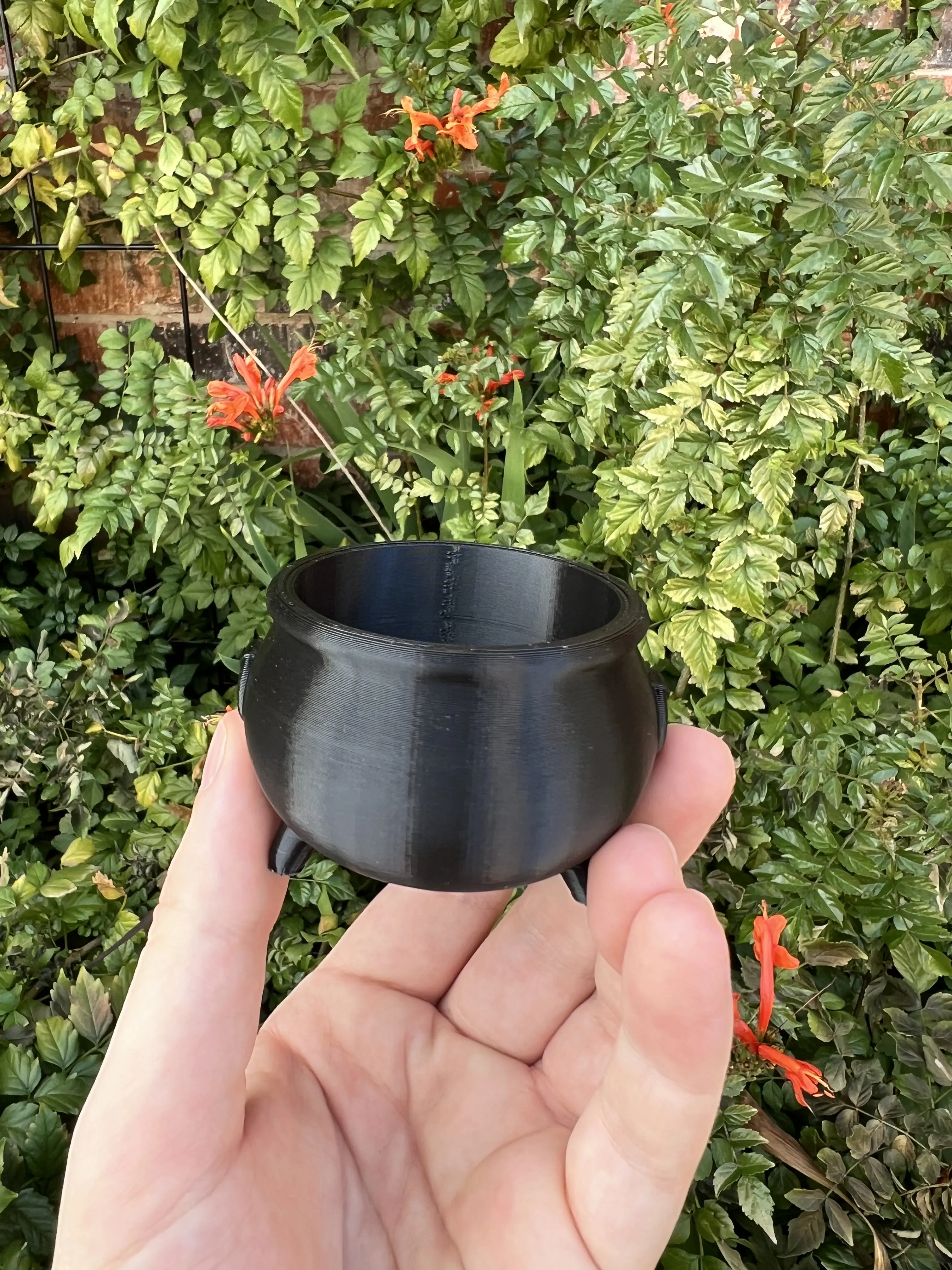 3D Printed Cauldron Planter for Succulents & Air Plants | Modern Indoor Decor with Drainage