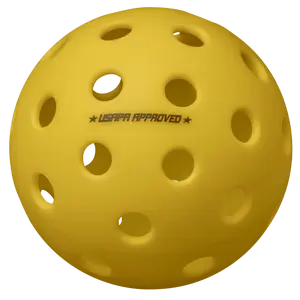 Onix Fuse G2 Outdoor Pickleball