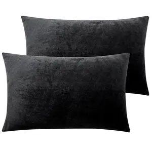 NTBAY 2 Pieces Solid Color Ultra Soft Velvet Zippered Pillowcase, Cozy Luxury Fuzzy Flannel Pillow Cases with Zipper, Decorative Cushion, Household, Sofa Couch, Black Friday, Christmas Gift