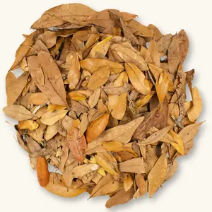 Natural Shingles Live Oak Leaf Litter (12oz/32oz) by Betta Botanicals for Bioactive Enclosures & Aquariums & Vivariums