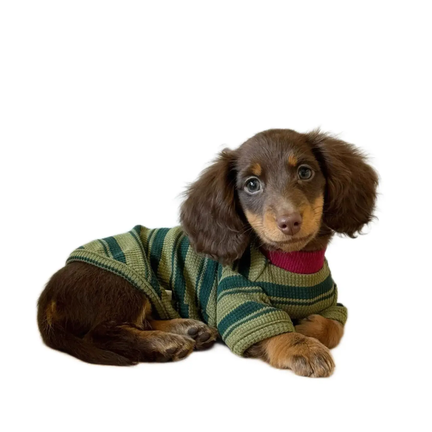 Sausage Dog Clothes, Green Striped Vest - Winter Apparel for Small Dogs & Cats