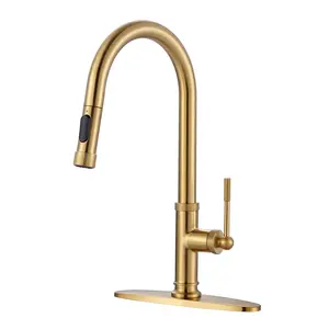WOWOW Brass Single Handle Pull Down Sprayer Kitchen Faucet with 2-Mode Advanced Spray, Deck Plate and Supply Lines in Gold