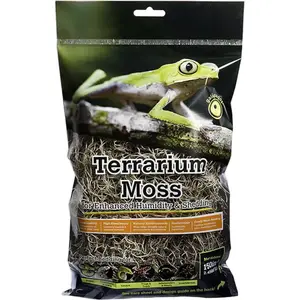 Galapagos Terrarium Spanish Moss
