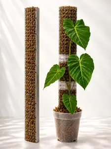 D-Shape Moss Poles for Climbing Plants — Handmade Support for Vertical Growth