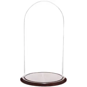 Plymor 11.75" x 23" Glass Display Dome Cloche