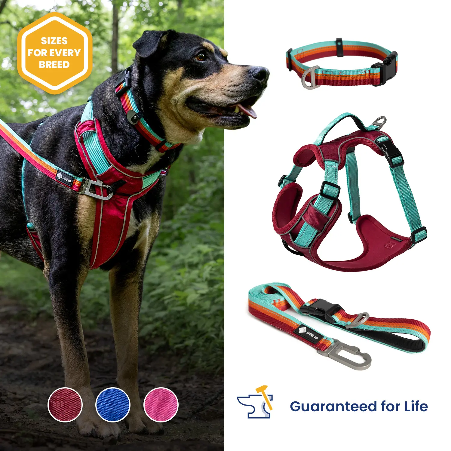 DOG iD Premium Nylon No-Pull Basic Halter Harness Bundle - 3M Reflective Safety, Adjustable Fit Walk Kit - Sensitive Skin-Friendly, Escape-Proof, All-Day Comfort, Easy to Clean - 4 Sizes