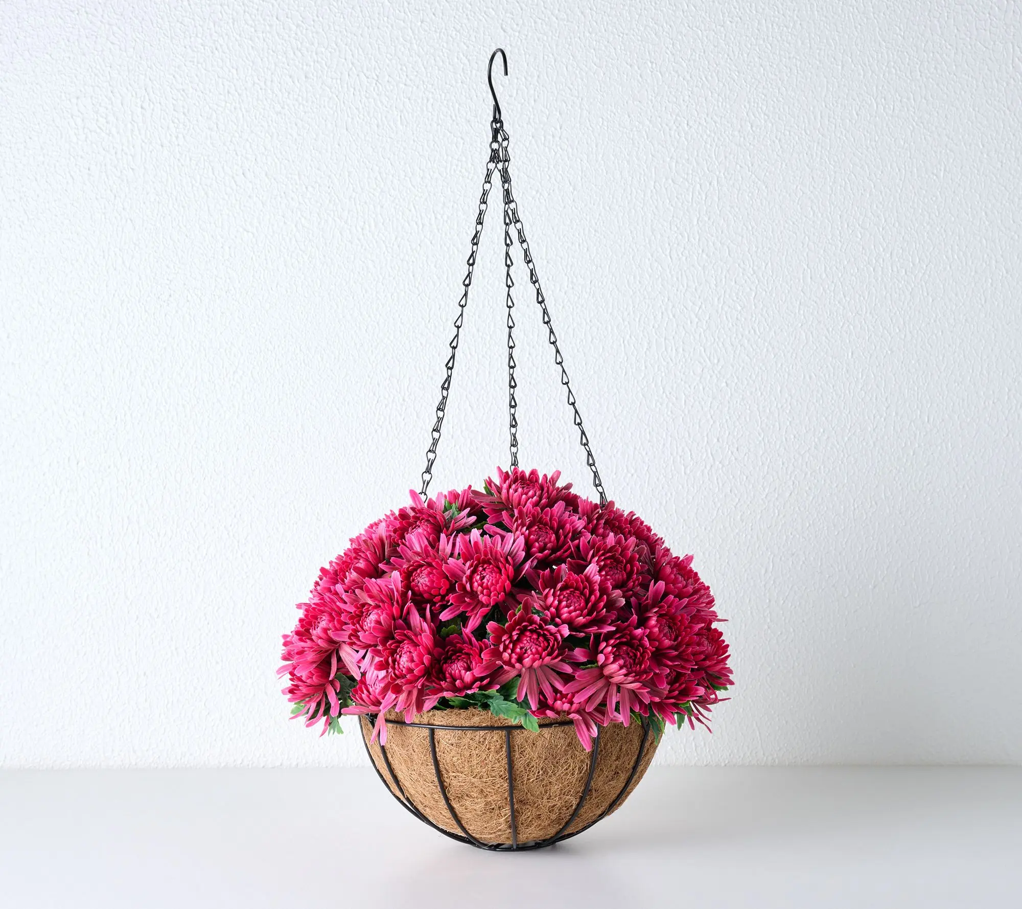Wicker Park 16" Chrysanthemum Hanging Basket