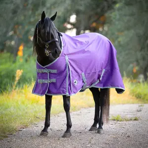 Jeffers Economy 600 Denier Lightweight Standard Neck Horse Turnout Sheet, 0 g Fill