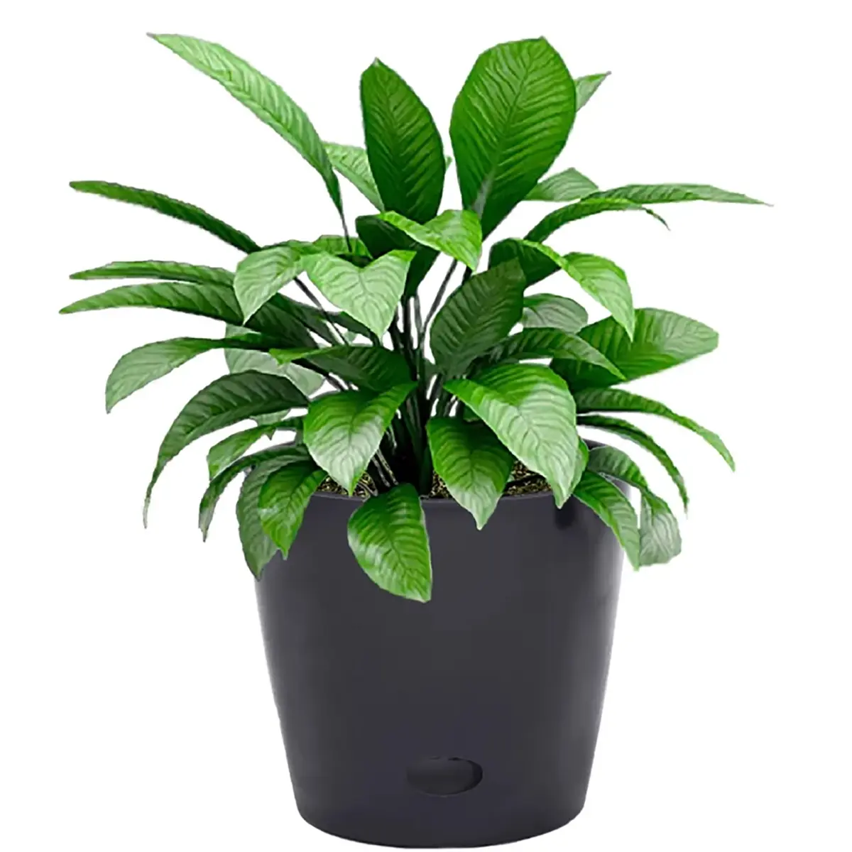 Bamboo Blooms 5-70003 7in. Black Contemporary Round Self-Watering Bamboo Planter - All-Natural Biodegradable Flower Pot for Root Health, Home Improvement, Outdoor Use (1 lb, 4 Year Durability), Round Shape