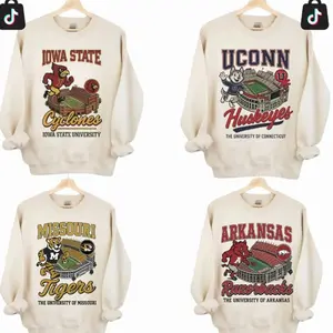 [Sale off 50%] Custom Team Vintage College Mascot Sweatshirt, Retro Football Stadium Graphic Crewneck, All Team Style Unisex Pullover, Game Day Outfit 3R3
