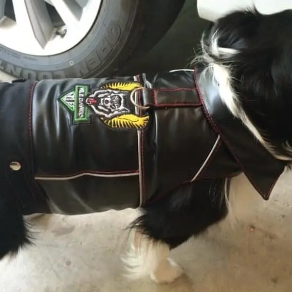 Men's Biker Inspired Harness Vest, Wild Dawgs Logo, XXS Size