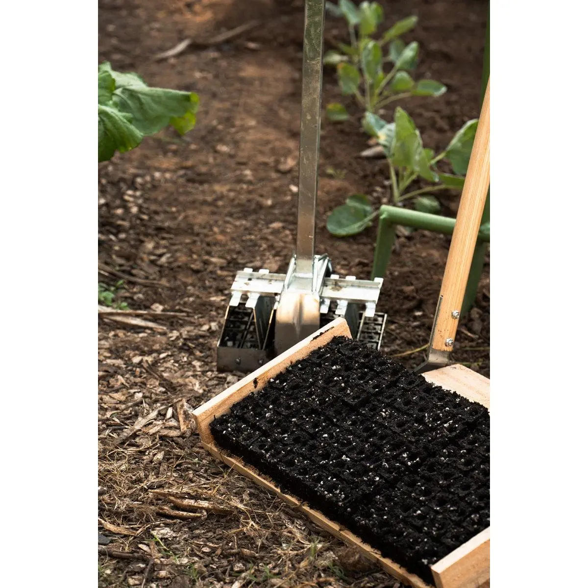 Soil Blocker - Standing-35 -  Ladbrooke