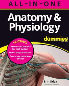 Anatomy & Physiology All-in-One For Dummies (+ Chapter Quizzes Online) 1st Edition