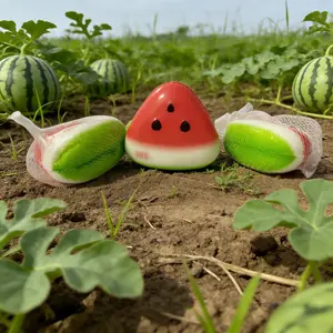 Watermelon Anti Stress Squeeze Toy Slow Rising Squishy Sensory Toy Gift Squishy Stress Reliever Squeeze Toy Stress Relief Toys Decompression Squeeze