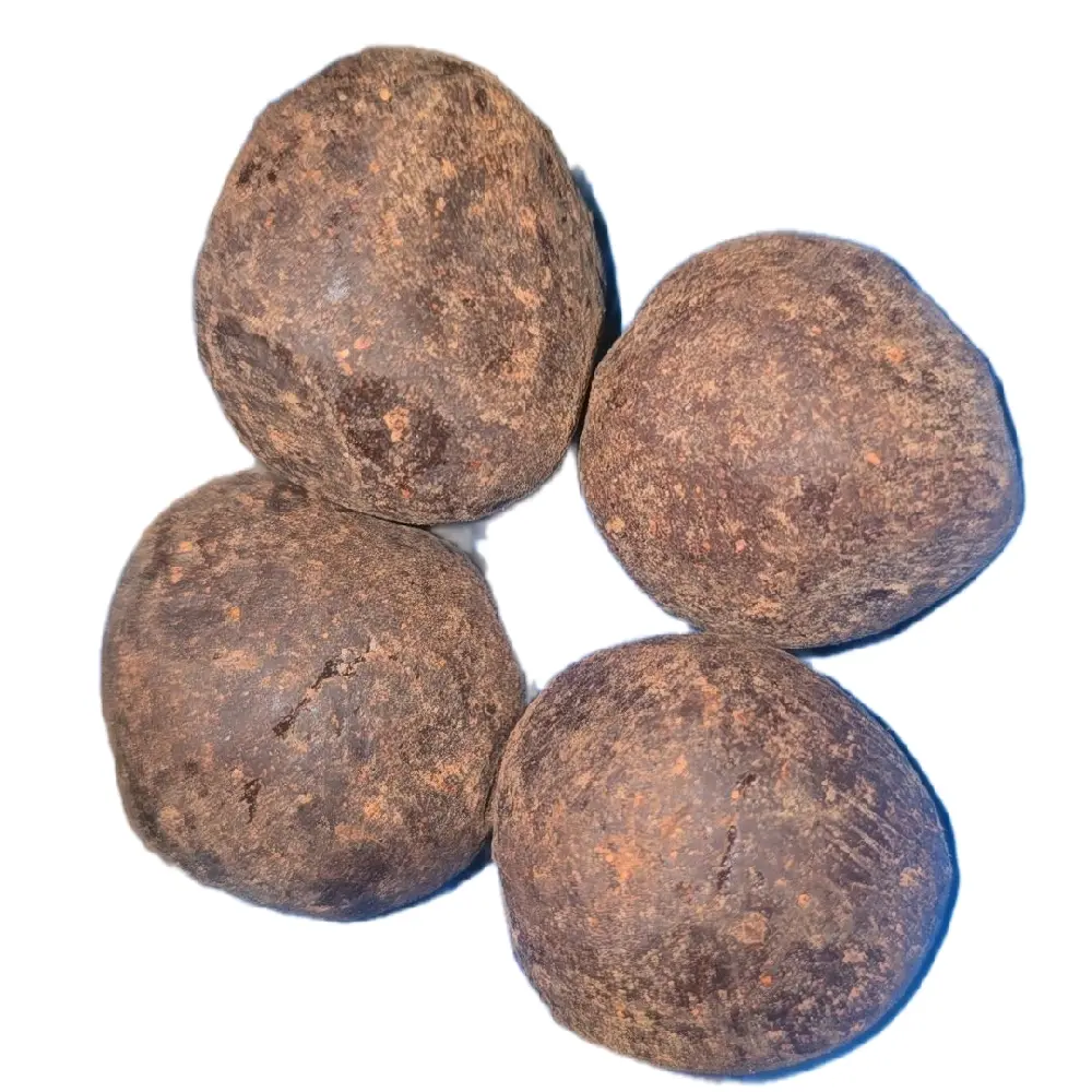 Chocolate Chocolate