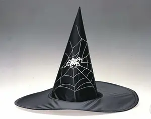 Spider Web Witch Hat