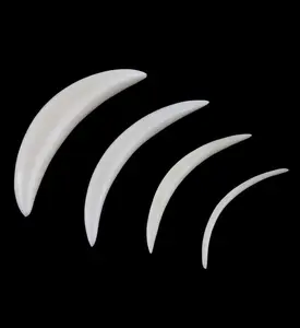 Buffalo Bone Septum Tusk