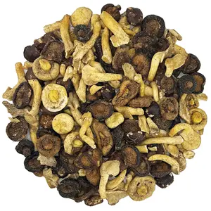 MUSHROOM CHIPS 8 OZ BAG