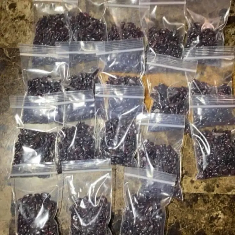 Garnet natural crystal chips 2oz