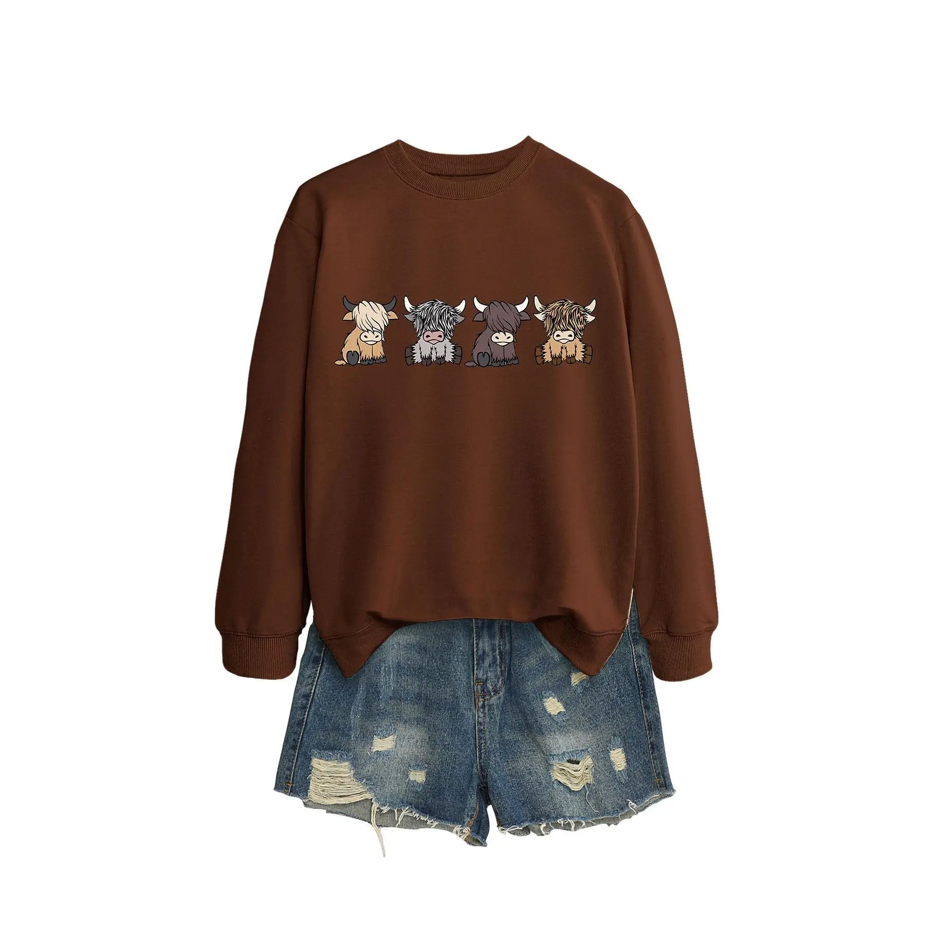 Coffee colored hoodie (color picture)