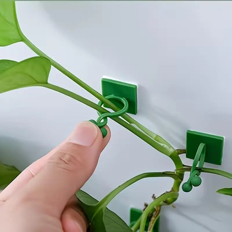 10/20pcs Self-Adhesive Plant Climbing Wall Clips, Wall Plant Holder, Plastic Indoor/outdoor Hooks, Leaf Design, Ideal for Decor and Pothos