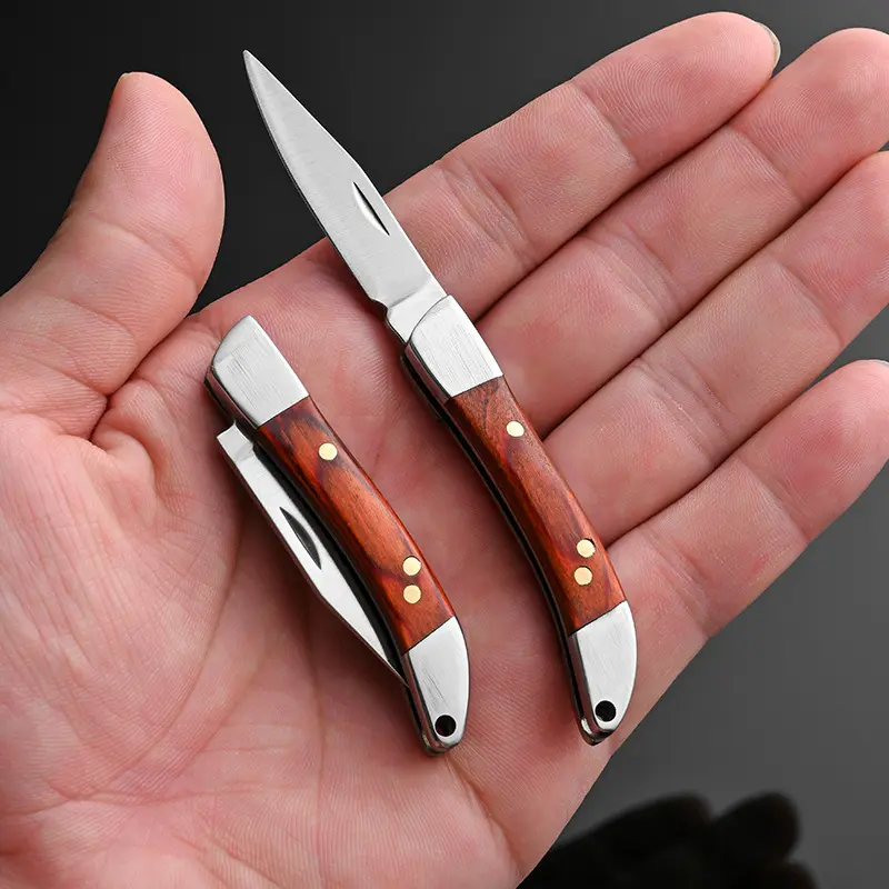 Portable EDC Outdoor Folding Knife, Sharp Mini Pocket Knife and Compact Keychain Tool for Daily Use, Fishing, Camping, Hiking and Survival, Camping Knives, Survival Tools, Portable Multipurpose Knives