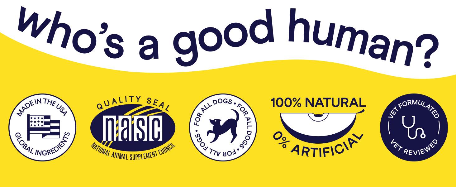 FINN Allergy & Itch for Dogs - Natural Allergy Relief, Itchy Skin, Immune Support, Bee Propolis, Probiotics - 90 Soft Chews