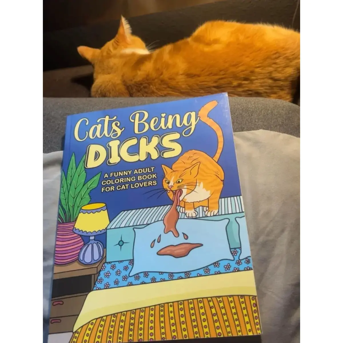 Cats Being Dicks: English Adult Coloring Book - Stress Relief, High-Quality Paper, Hilarious Stocking Stuffer, Funny Illustrations, Art Therapy for Cat Lovers (Paperback, Framing or Displaying Compatible)