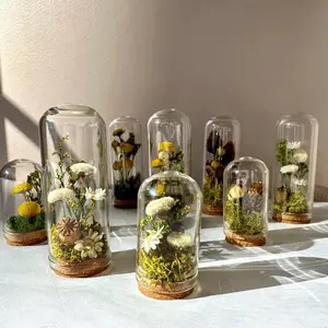 Meadow Mix Mini Glass Cloche Terrarium W. Dried Florals