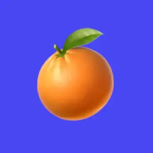 Polychrome Goods shop logo