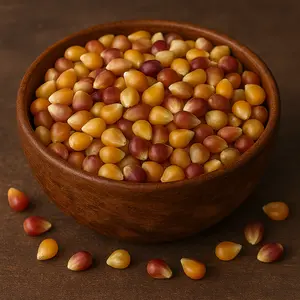 California Grown Organic Multi Colored Popcorn