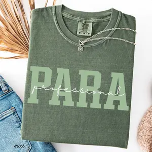 Paraprofessional Shirt Comfort Colors Para Squad Tshirt Para Appreciation Gift Paraprofessional Group Shirts Teacher Aide Back To School Tee