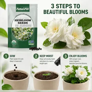 For 50 Non-GMO Climbing Silver Jasmine Seeds - Aromatic Evergreen, Ideal Decor Choice for Garden & Balcony