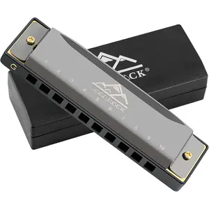 Blues Harmonica Mouth Organ 10 Hole G Key with Case, Diatonic Harmonica for Professional Player, Beginner, Students gifts, Adult, ,  Black