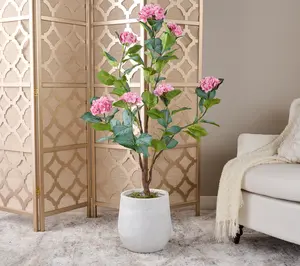 4' Hydrangea Bush in Pot by Valerie