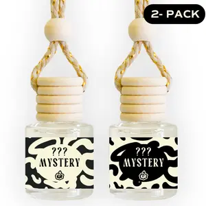 Mystery Car Fresheners- 2 Pack | SkyeLight Mystery Car Fresheners- 2 Pack | SkyeLight