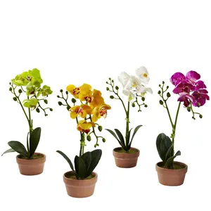 Set of 4 Phalaenopsis Orchids w/Clay Vase by Nearly Natural