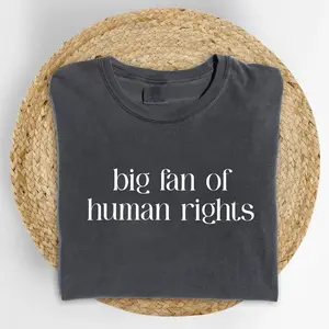 Big Fan Of Human Rights Comfort Colors Shirt, Equality Graphic Tee, Social Justice T-shirt, Protest Outfits, Democrat Clothing