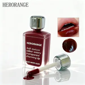 HERORANGE Premium Glossy Lip Tint 6 PCs Non-Transfer Plumping Effect Matte Case Long Lasting Moisture Perfect for Party Christmas Gift Sheer Lip Tint TeenGirls Trendy Stuff Girly Must Haves Cheap Maquillaje Para Mujer Moisturizing Korean Lip Glaze!