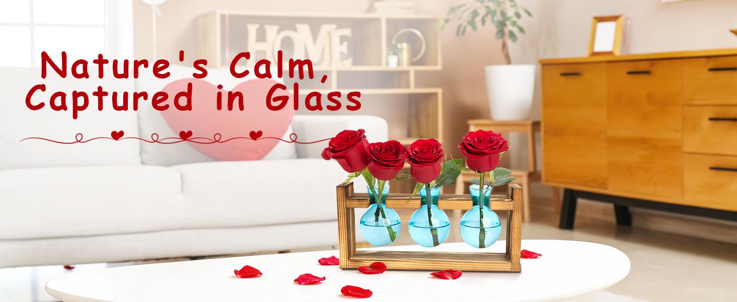 XXXFLOWER Colored Glass Plant Propagation Station 3 Bulb Desktop Flower Vase Stand Gift for Women Elegant Glass Material for Plant Lovers