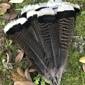 Turkey Tail Feathers - White Tips Hat Accessory