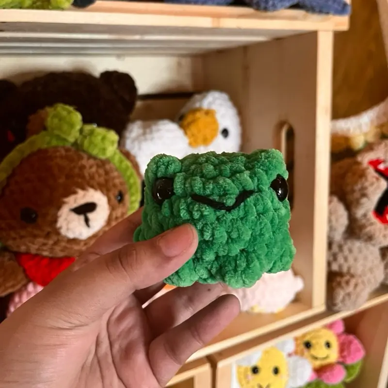 Handmade Crochet Pocket Frog Plush