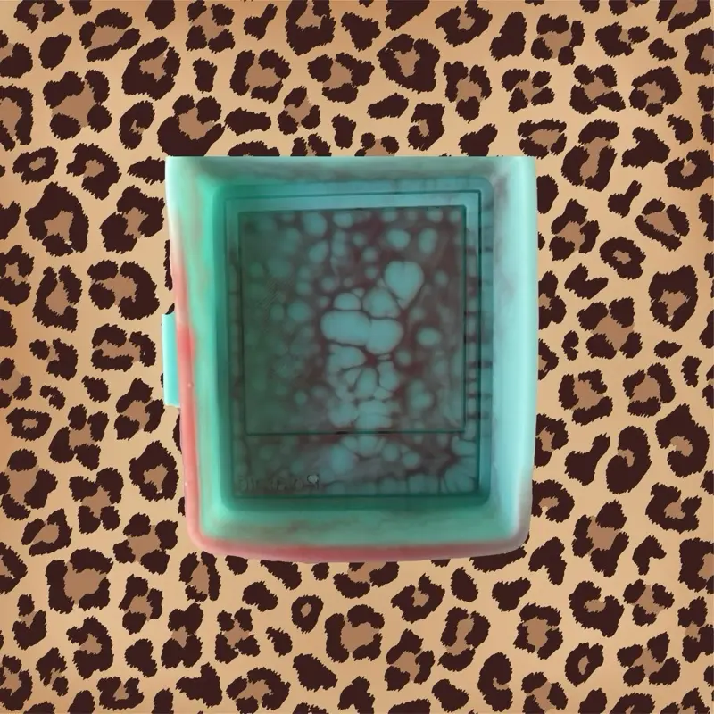 Polaroid Freshie Mold